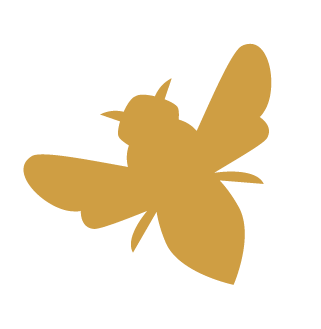 Bee icon.