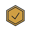 icon of a checkmark in a hexagon.